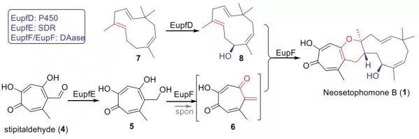 4df33439731747efbe9cd6dac13cd112.jpg 58期.jpg